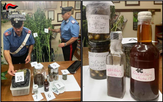“SballOlives” e “Kannamang”, in manette chef del Catanese con gusti “stupefacenti”