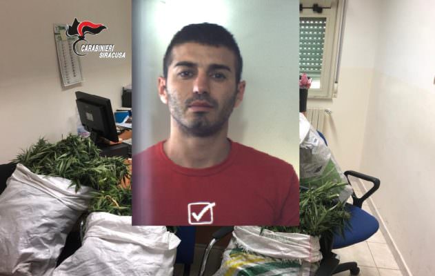 Armi e oltre 3 chili di droga in casa, scoperta anche serra per marijuana: arrestato 28enne -VIDEO