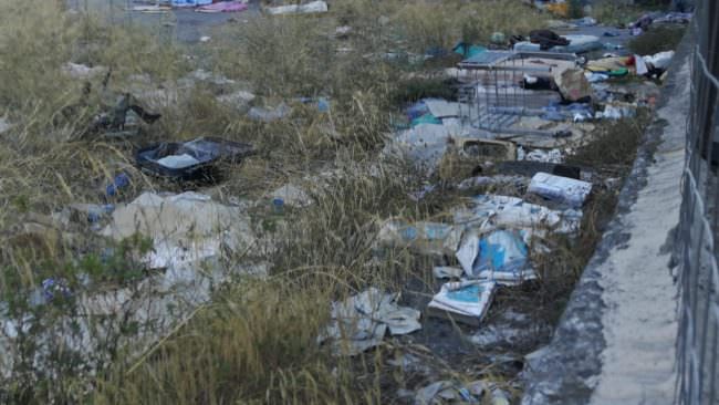 Catania, interi quartieri e case invase da topi: le segnalazioni impongono la ricerca immediata di una soluzione