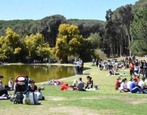 Catania, il boschetto della Playa in vendita. Comitato Vulcania: “Situazione grave e inaccettabile”