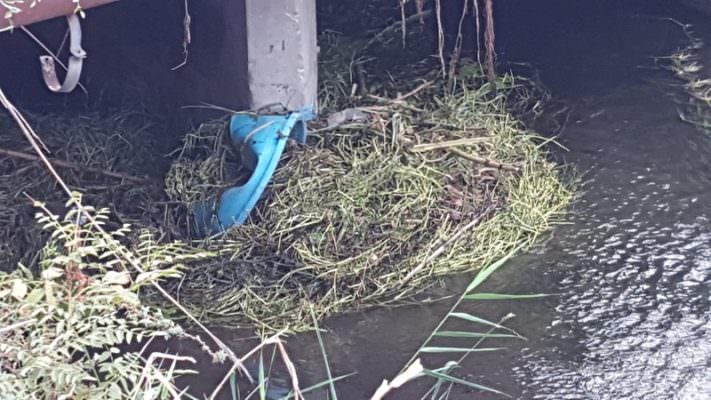 Quartiere Santa Maria Goretti di Catania, pulito il torrente Forcile da detriti e rifiuti – FOTO