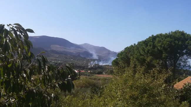 La Sicilia torna a bruciare, incendi nel Palermitano e nel Trapanese: in azione vigili del fuoco