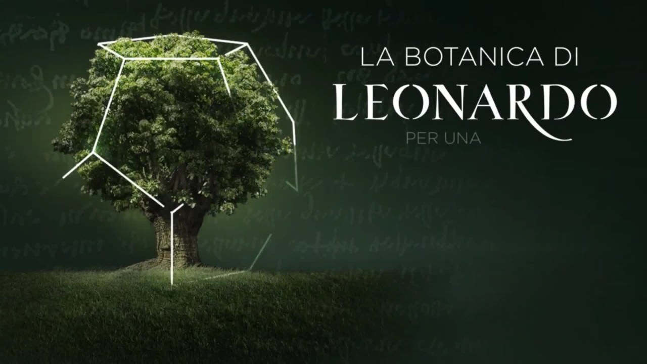 La botanica di Leonardo in mostra a Firenze