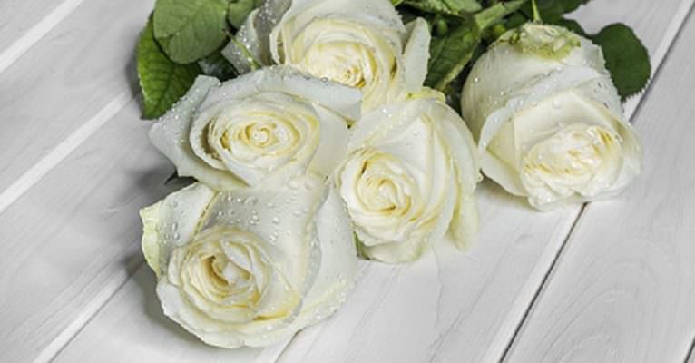 Agrigento, 17 rose bianche il memoria della ragazza che si è tolta la vita
