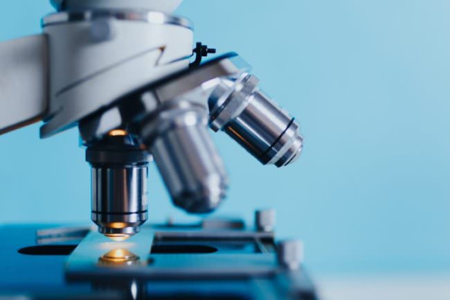 ASSOBIOTEC-FEDERCHIMICA “FIDUCIA NEL GREEN NEW DEAL”