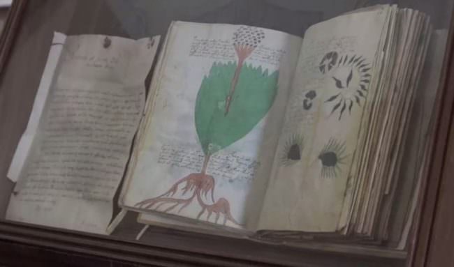 A ROMA UNA COPIA DEL MANOSCRITTO PIÙ MISTERIOSO DEL MONDO