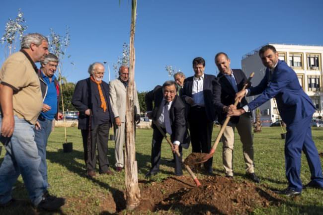 MOBILITA' SOSTENIBILE, CRESCE IL BOSCO DI NO SMOG MOBILITY