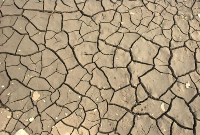 COLDIRETTI, AL SUD E' ALLARME SICCITA'