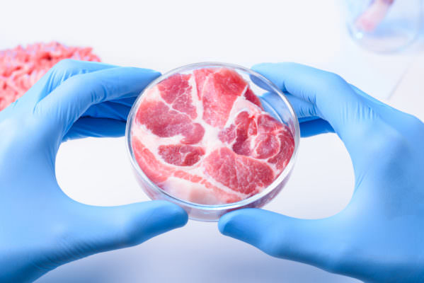 Foodtech: arriva la “carne sintetica spaziale”