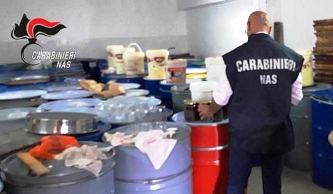 Settore apistico, Nas controlla miele sospetto nella zona etnea: sequestrate diverse decine di tonnellate