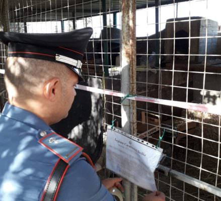 Abusivismo edilizio e mancate autorizzazioni: sequestrati terreni nel Messinese, 2 indagati