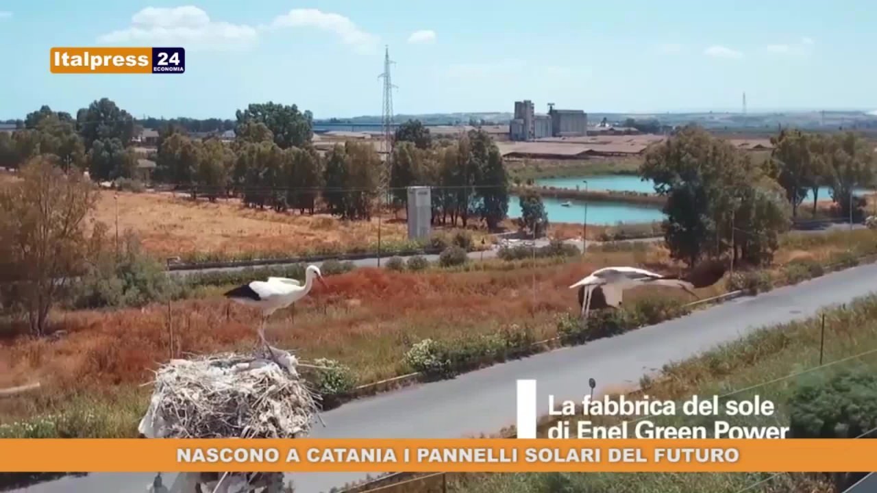 Nascono a Catania i pannelli solari del futuro