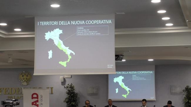 Conad, al centrosud nasce un gruppo da 4,5 mld