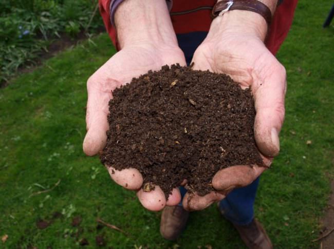 RIFIUTI, NASCONO I MINI IMPIANTI PER IL COMPOST A CHILOMETRO ZERO