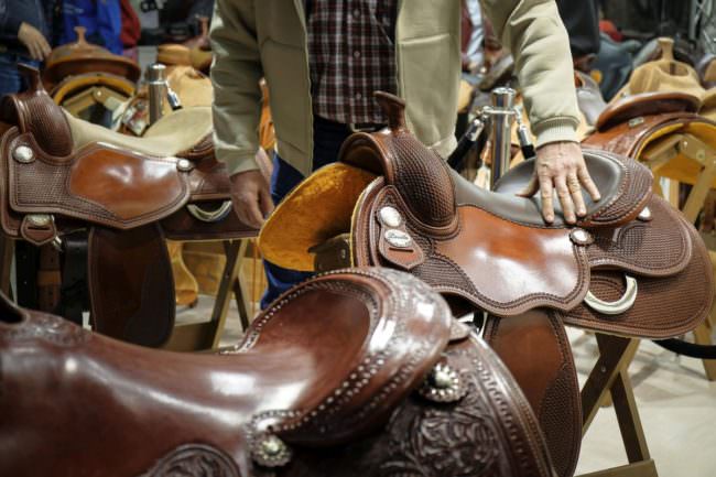 TORNA A VERONA FIERACAVALLI, IN MOSTRA OLTRE 2 MILA ESEMPLARI