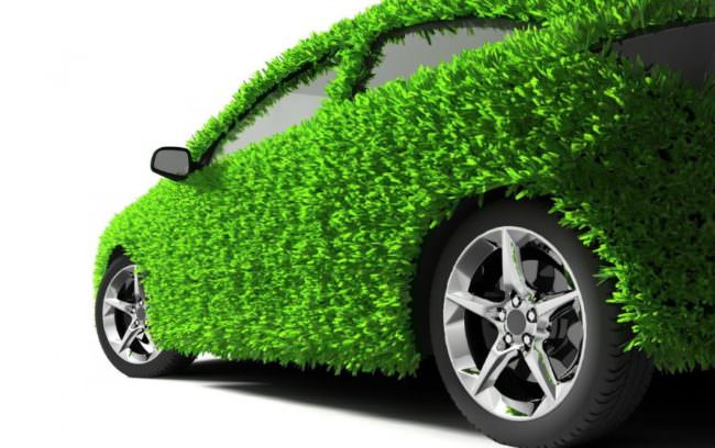 MAZDA “INDUSTRIA AUTOMOBILISTICA CONTRIBUISCA A PROTEGGERE AMBIENTE”