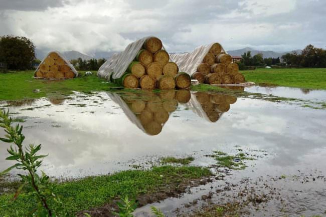 BOMBA D'ACQUA SU CASERTA, CAMPI ALLAGATI E STALLE DISTRUTTE