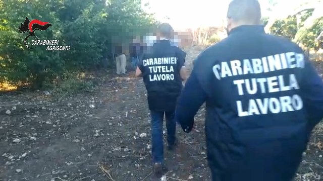 Operazione Ponos: sette le persone coinvolte. Sfruttavano lavoratori dell’Est nelle campagne