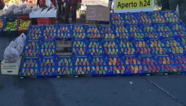 Multe al viale Mario Rapisardi: continua l’antiabusivismo