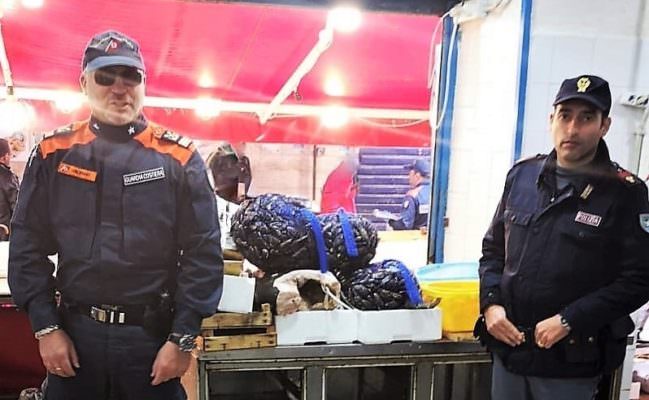 Pescherie abusive e prodotti ittici in cattivo stato destinati alla vendita: sequestri e sanzioni