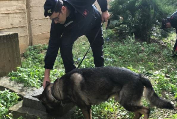 Blitz in una scuola: sigarette “artigianali” e marijuana nelle aule, studenti segnalati alla Prefettura