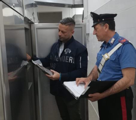Tonnellate di aglio rosso senza tracciabilità scoperte in un oleificio: scatta il maxi sequestro