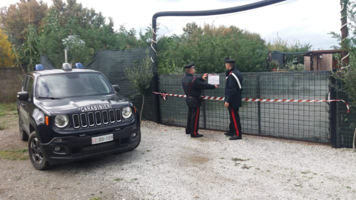 Lottizzazione abusiva di terreni agricoli: scatta il sequestro, coinvolto il responsabile dell’ufficio tecnico comunale