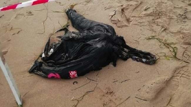 Giallo in spiaggia, ritrovato il corpo senza vita di un uomo: indagano i carabinieri, cadavere in avanzata decomposizione