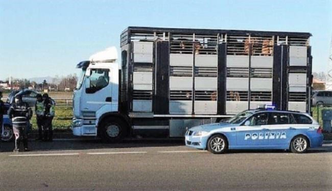 Operazione “ad alto impatto”: 29 posti di blocco tra controlli, infrazioni e sanzioni