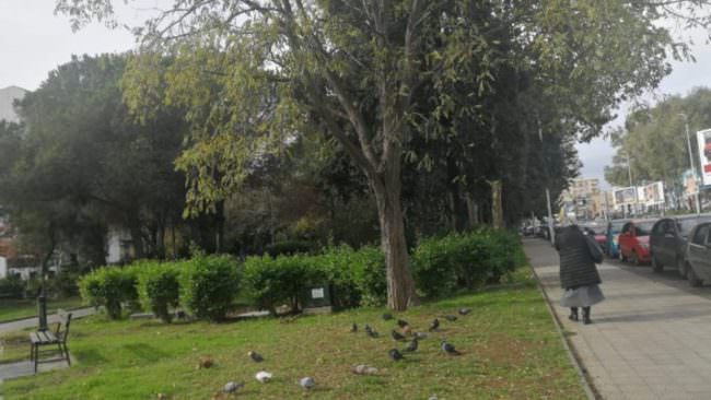 Catania, parco Falcone “meta” dei vandali. Ferrara: “Nessuno crede che si tratti di un caso accidentale”