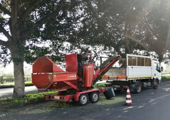 Circonvallazione di Catania, potati gli alberi. Buceti: “Eliminare ogni possibile emergenza nel territorio”