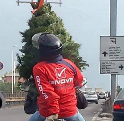 A Catania il Natale rende tutto possibile: due uomini e un albero sullo scooter in circonvallazione