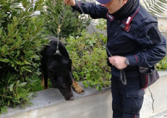 Cento grammi di marijuana e materiale per il confezionamento in casa: arrestato 25enne nel Catanese