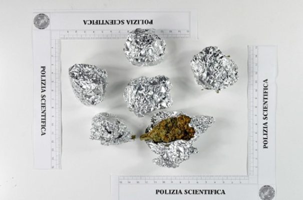 Cannabis occultata sotto le tegole, 23enne in manette per spaccio – FOTO e VIDEO
