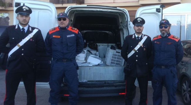 Vendevano prodotti ittici privi di etichettatura e tracciabilità: sequestri e sanzioni
