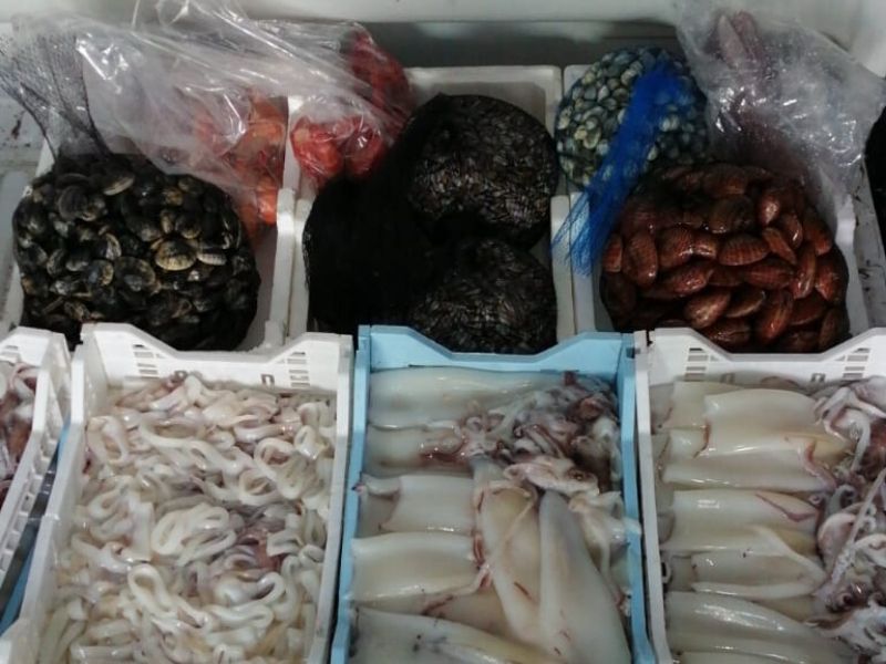 Catania, 160 kg di pesce sequestrato a un noto commerciante di Ognina