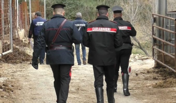 Gestione illecita di rifiuti e scarico acque reflue: sanzione di 23mila euro per due aziende agricole