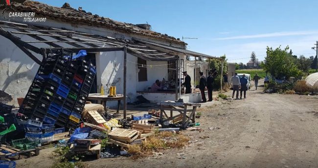 Carenze igenico sanitarie e turni di lavoro estenuanti: arrestati 2 fratelli catanesi – VIDEO
