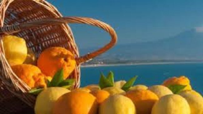 Gli agrumi di Sicilia, ornamento e benessere sulle nostre tavole natalizie: storia e caratteristiche