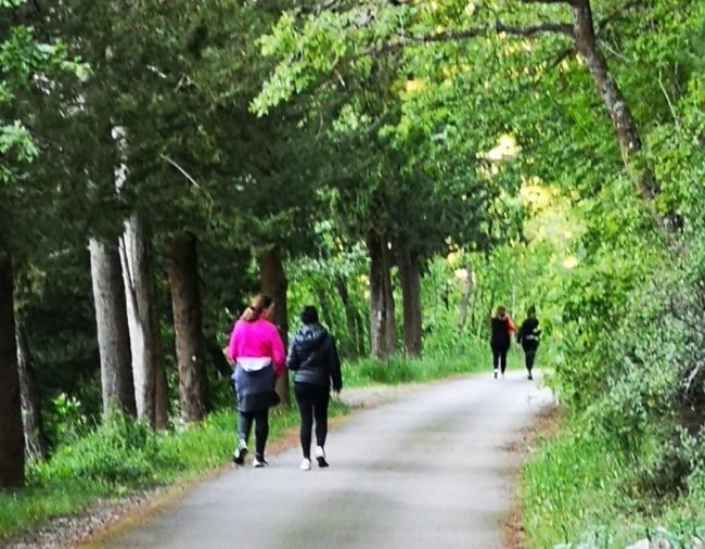Meno stress e tristezza, camminando all’aria aperta si può: un buon proposito per il nuovo anno