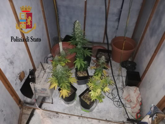 Scoperto garage della droga, coltivava piante di marijuana indisturbato: arrestato un 32enne