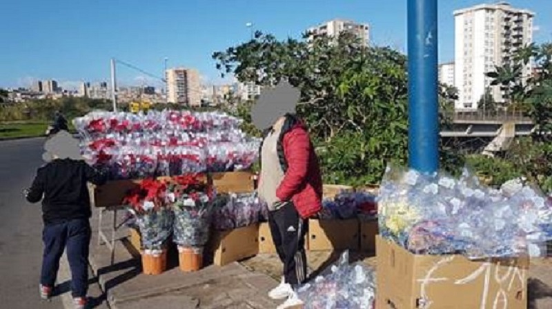 Controlli al “Tondicello della Plaia”, minori vendono stelle di Natale e rischiano di essere investiti: stangata ai commercianti abusivi