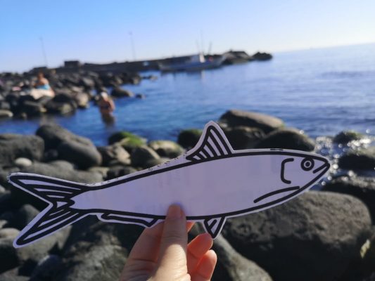Catania, la Pescheria si riempie di “Sardine”: dopo Bologna e Palermo la protesta pacifica arriva ai piedi dell’Etna