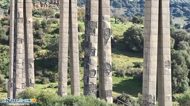 Ponte Morandi in Sicilia, abbandonato senza ripristino o abbattimento