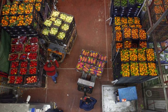 Etna, danni a piante e fiori: più colpiti ortaggi e agrumi, Coldiretti chiede stato di calamità naturale