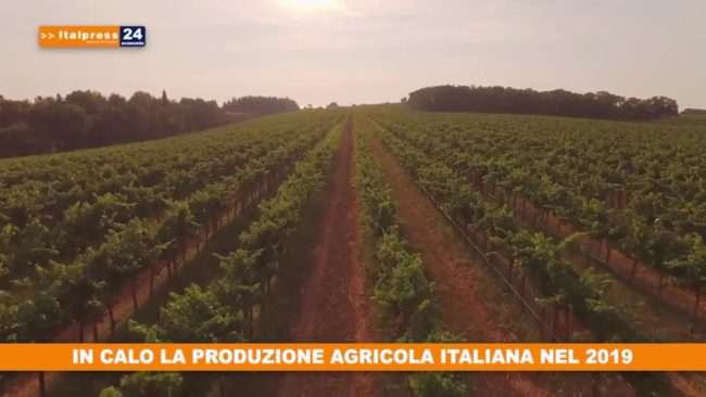 In calo la produzione agricola italiana