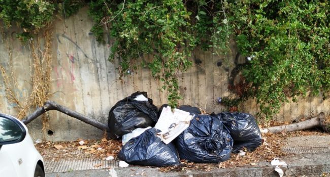 Spazzatura e microdiscariche a Catania, presidente Cerri: “Serve impegno collettivo” – Le FOTO