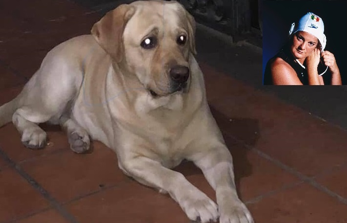 Alla ricerca di Marley: smarrito nel Catanese il cane dell’ex campionessa di nuoto Giusi Malato