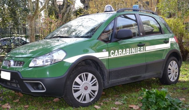Catania, discarica abusiva e taglio boschivo illecito in area protetta: una denuncia