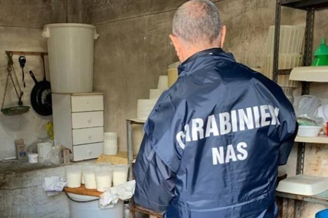 Sequestro per 152mila euro al titolare di un caseificio: i prodotti erano in pessimo stato di conservazione